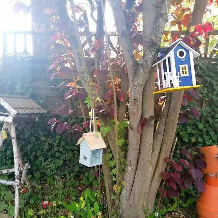 Apartamento Daji *